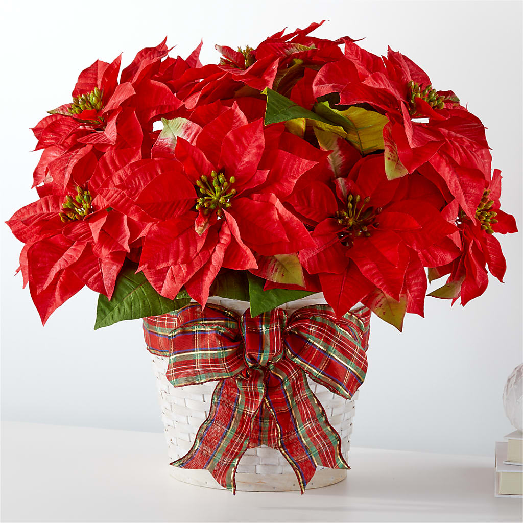 Happiest Holidays Poinsettia – Eventos Galindo, Chicago IL