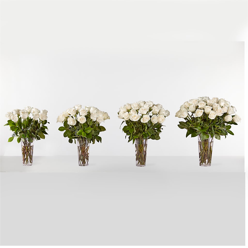 Long Stem White Rose Bouquet – Eventos Galindo, Chicago IL