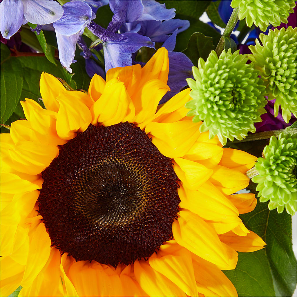 Catching Rays Bouquet – Eventos Galindo, Chicago IL