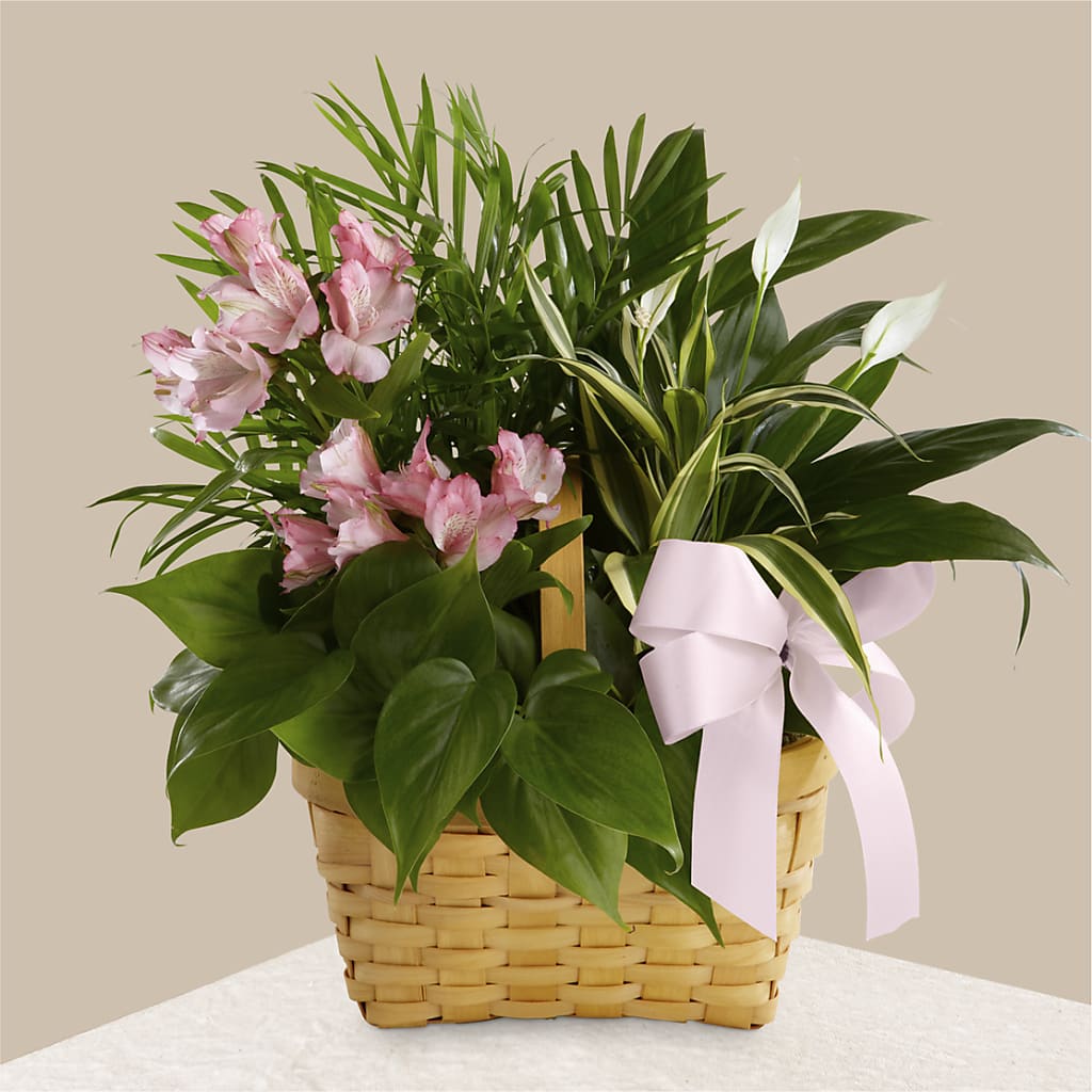 Living Spirit Dishgarden – Eventos Galindo, Chicago IL