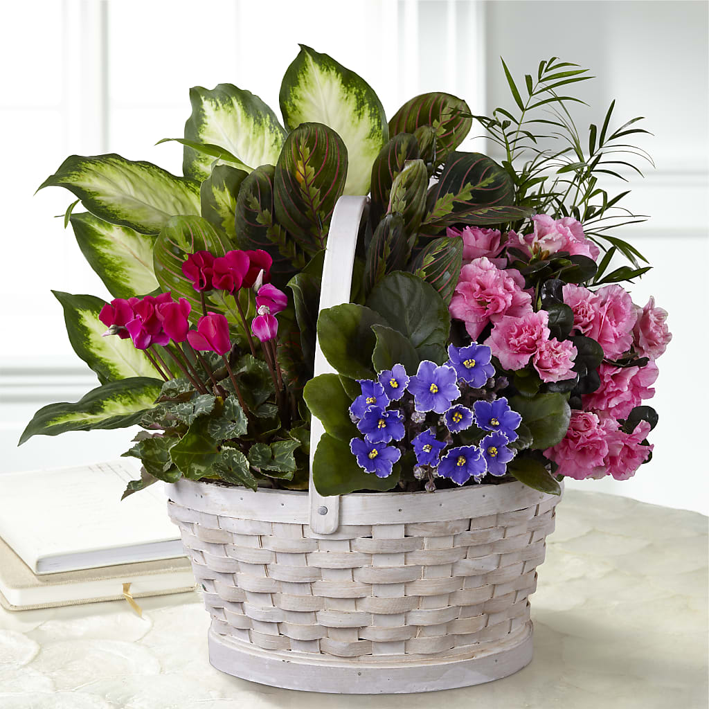 Peaceful Garden Planter – Eventos Galindo, Chicago IL