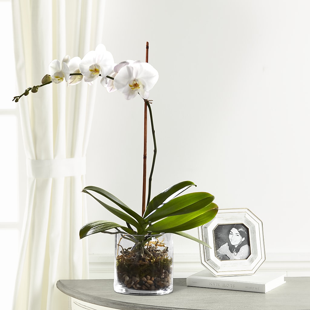 White Orchid Planter – Eventos Galindo, Chicago IL