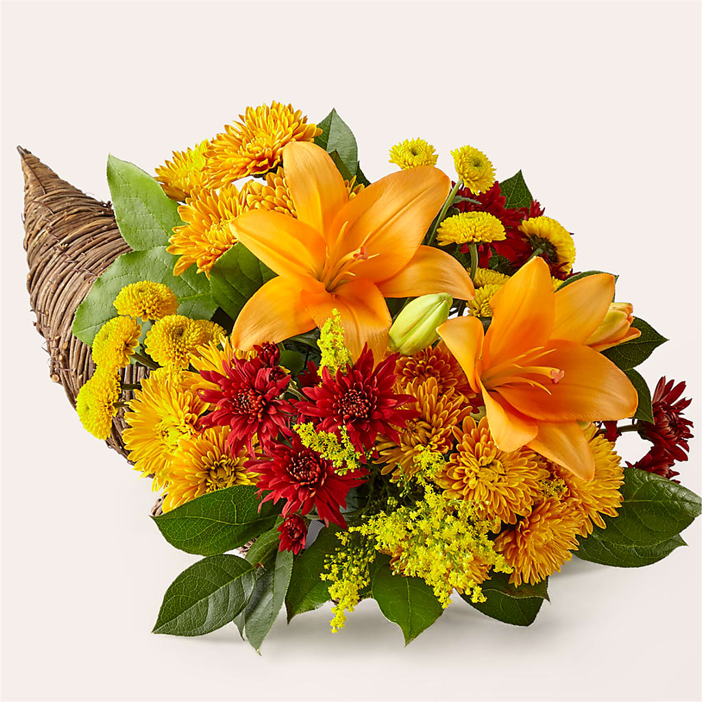 Feast of Color Cornucopia – Eventos Galindo, Chicago IL