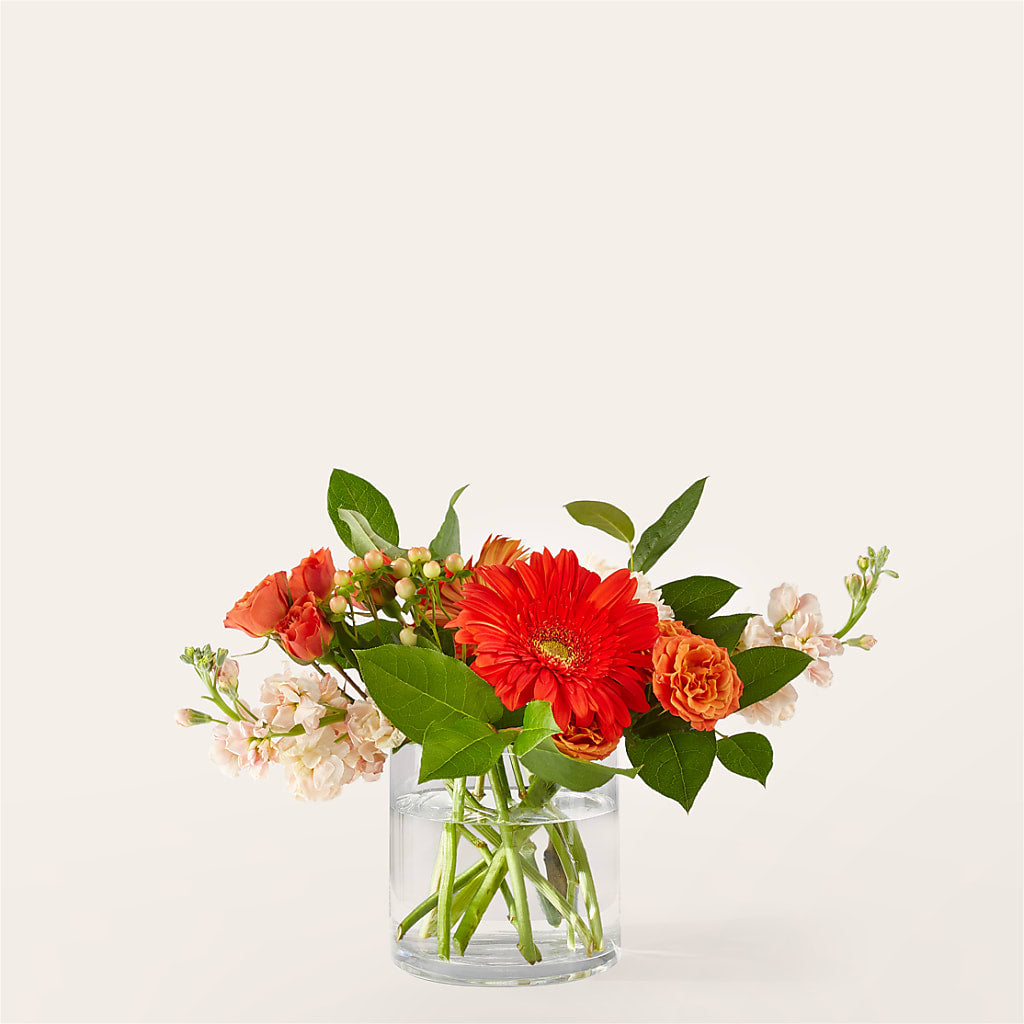Paloma Please Bouquet – Eventos Galindo, Chicago IL