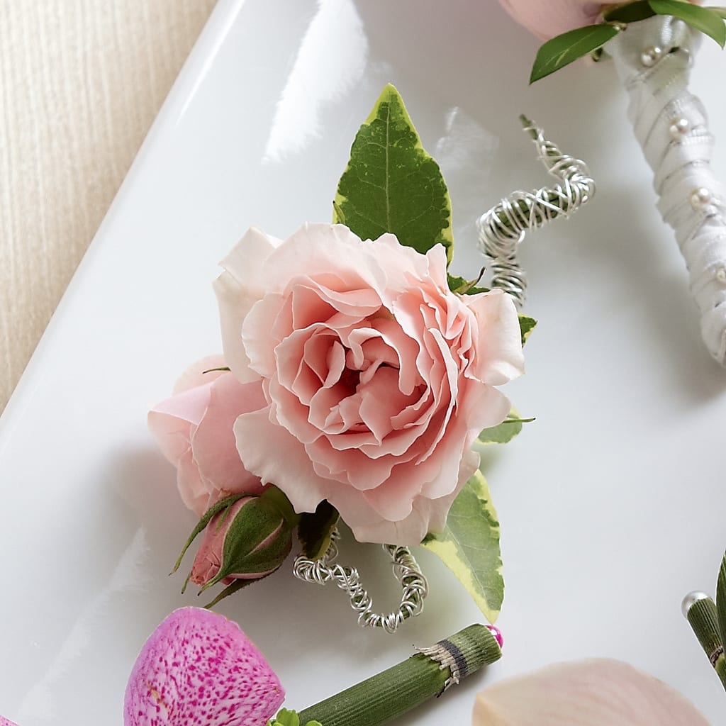 Pink Spray Rose Boutonniere – Eventos Galindo, Chicago IL
