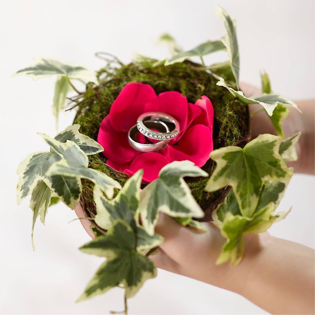Lila Rose Ring Nest – Eventos Galindo, Chicago IL