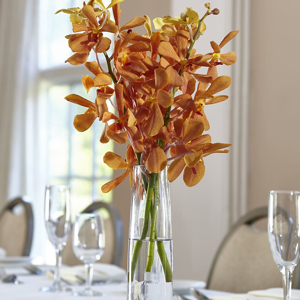 Orange Mokara Bud Vase – Eventos Galindo, Chicago IL