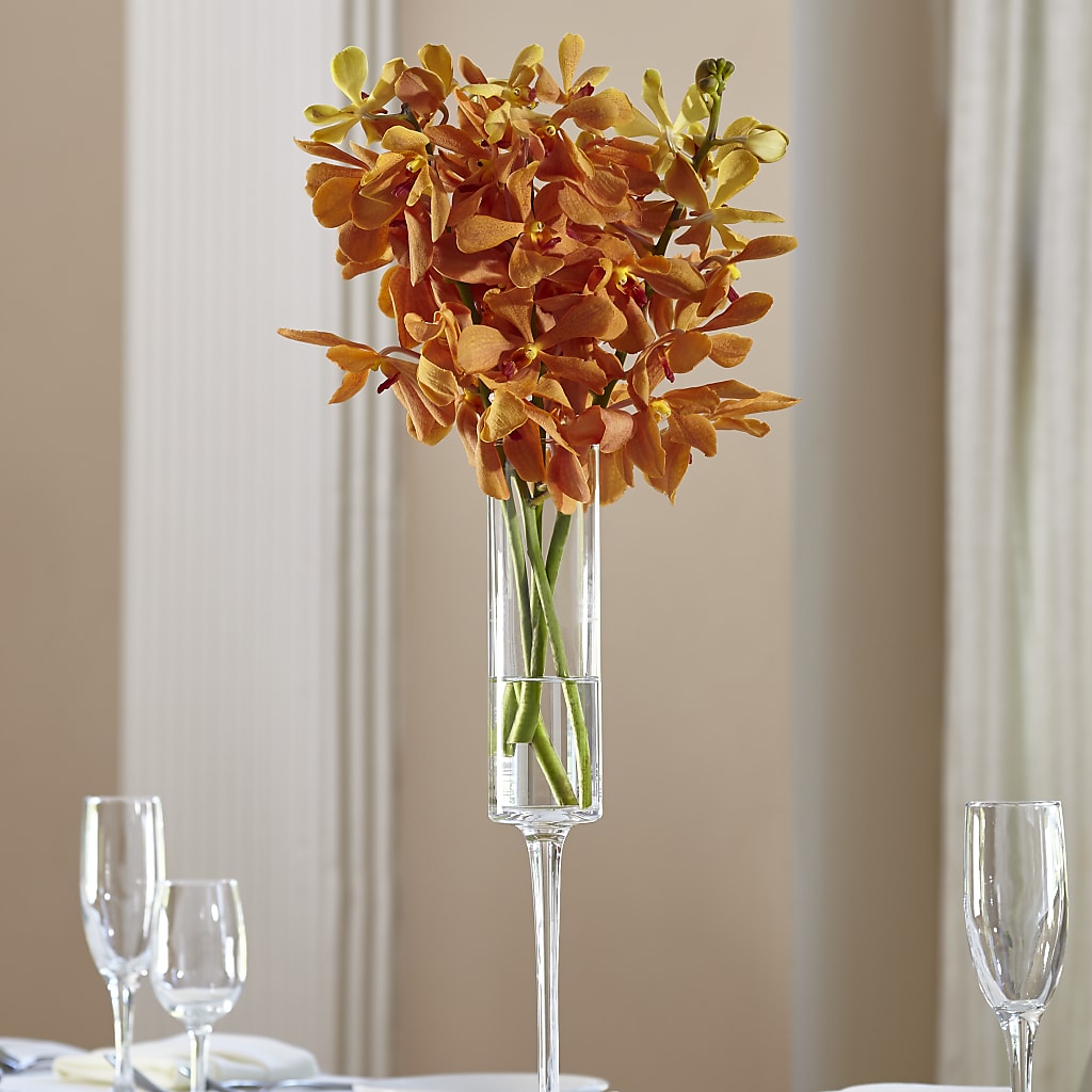 Ramo de naranja mokara