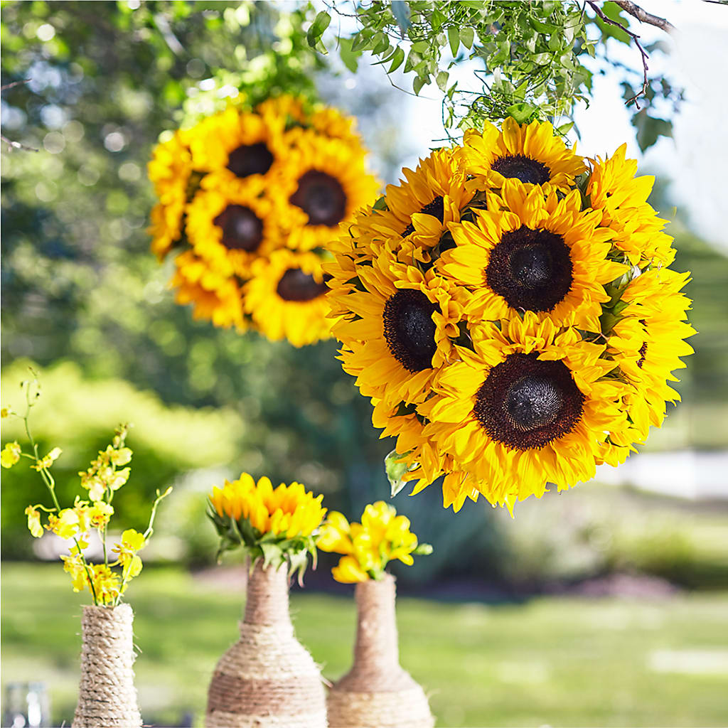 Sublime Garden Hanging Arrangement – Eventos Galindo, Chicago IL