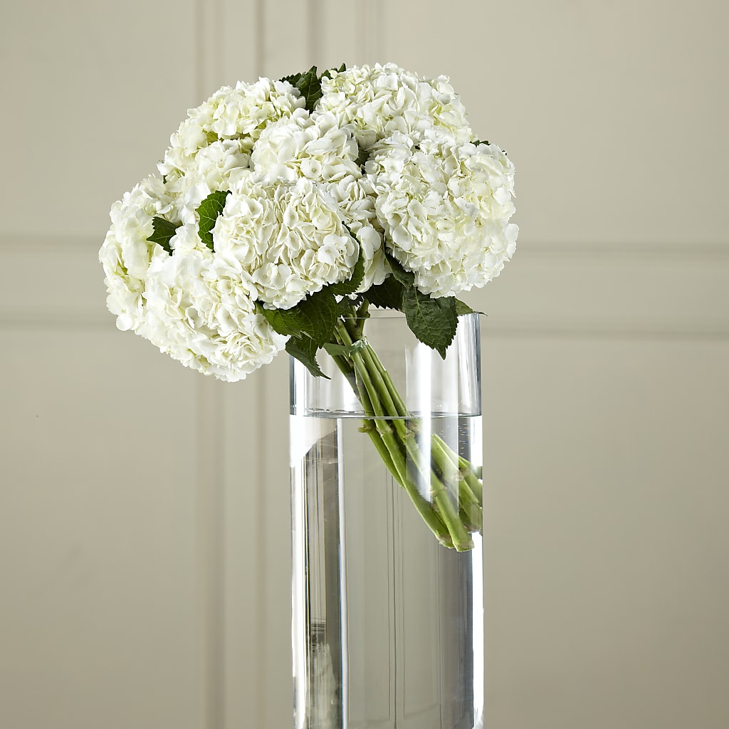 White Hydrangea Hand-Tied Bouquet – Eventos Galindo, Chicago IL