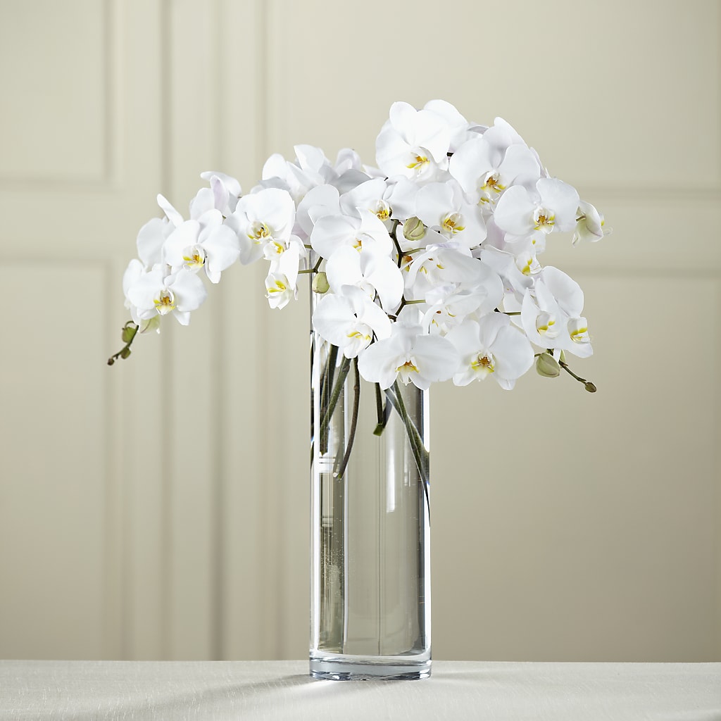 White Phalaenopsis Bouquet – Eventos Galindo, Chicago IL