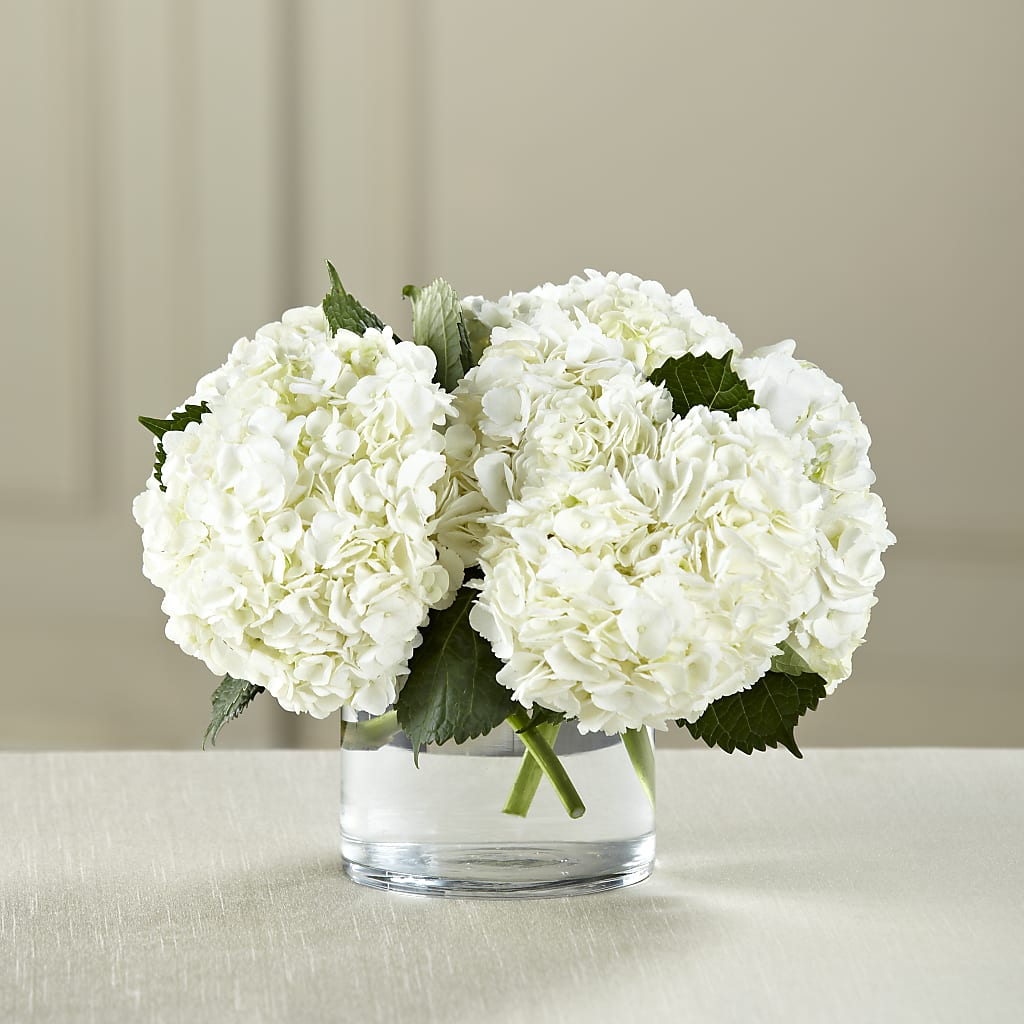 White Hydrangea Bouquet – Eventos Galindo, Chicago IL