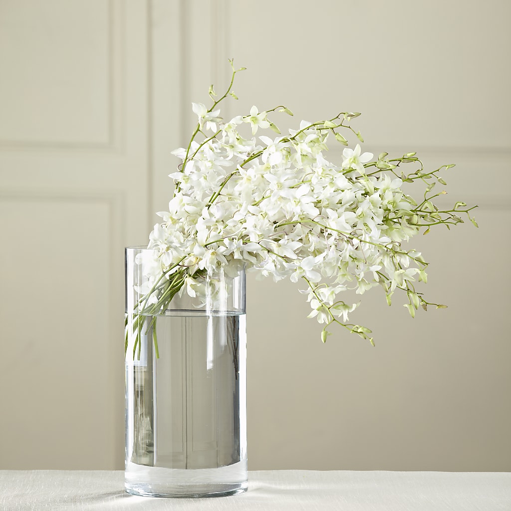 White Dendrobium Bouquet – Eventos Galindo, Chicago IL