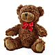 Adorable Plush Bear –  Eventos Galindo, Chicago IL
