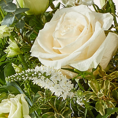 Cashmere Bouquet –  Eventos Galindo, Chicago IL