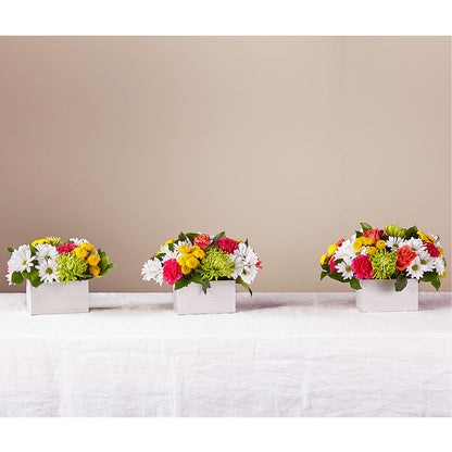 Sorbet Bouquet –  Eventos Galindo, Chicago IL