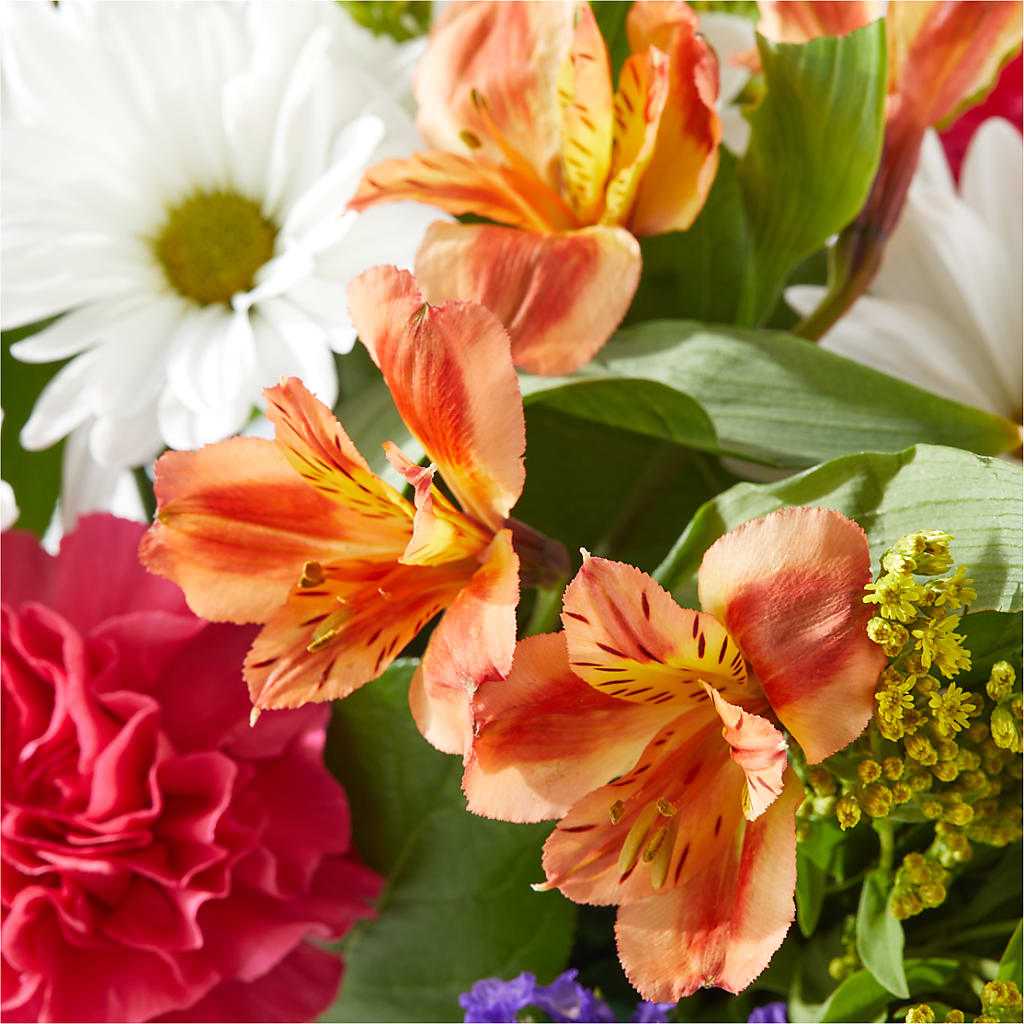 Oopsie Daisy Box Bouquet –  Eventos Galindo, Chicago IL
