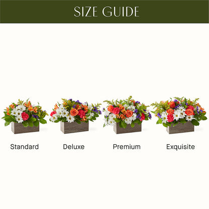 Oopsie Daisy Box Bouquet –  Eventos Galindo, Chicago IL