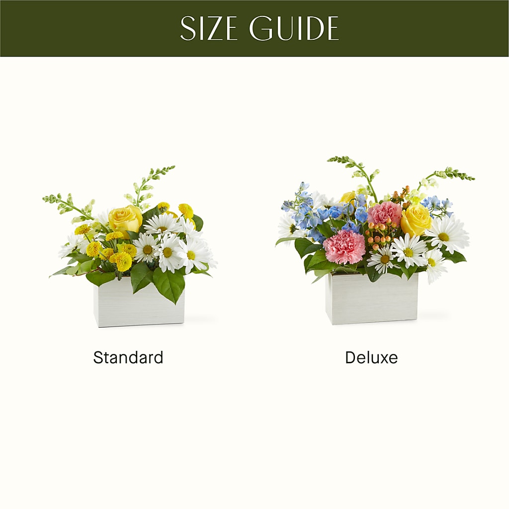 Sun Salutation Box Bouquet –  Eventos Galindo, Chicago IL
