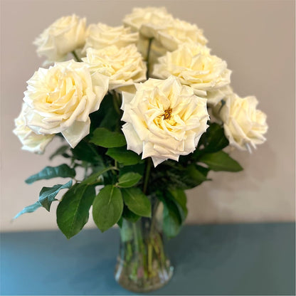 Long Stem Yellow Rose Bouquet –  Eventos Galindo, Chicago IL