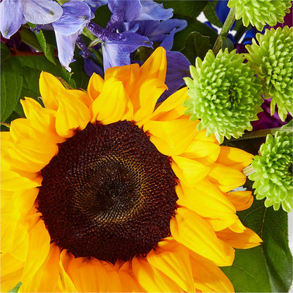 Catching Rays Bouquet –  Eventos Galindo, Chicago IL