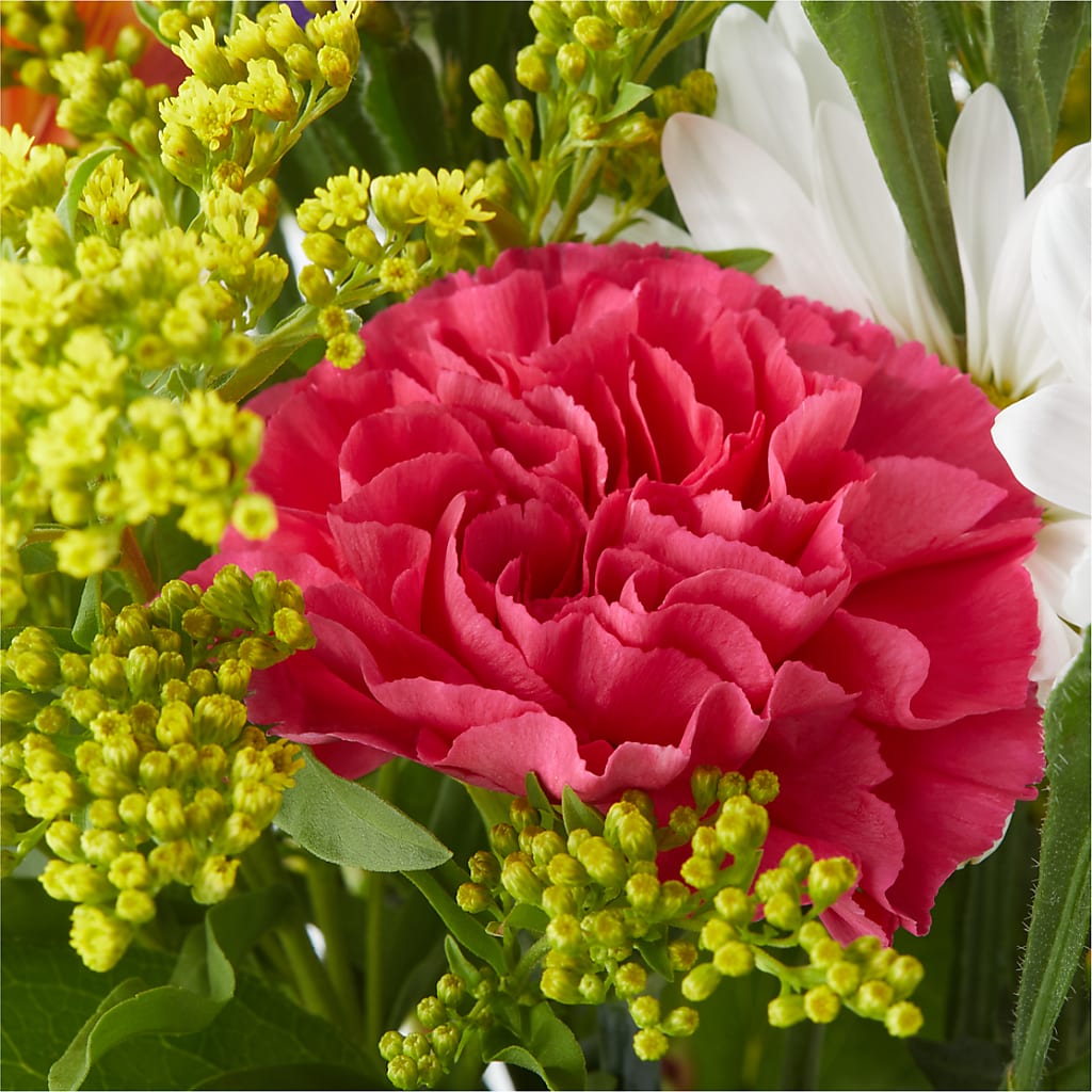 Oopsie Daisy Bouquet –  Eventos Galindo, Chicago IL