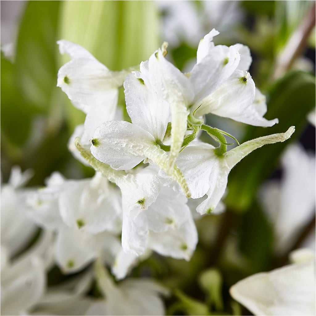 Classic Ivory – A Florist Original –  Eventos Galindo, Chicago IL