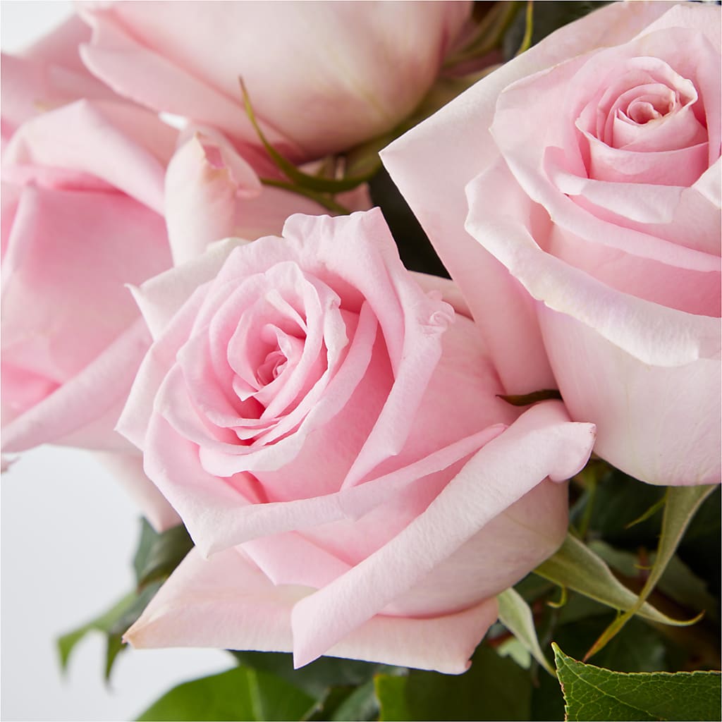 Picture Perfect Pink Rose Bouquet –  Eventos Galindo, Chicago IL