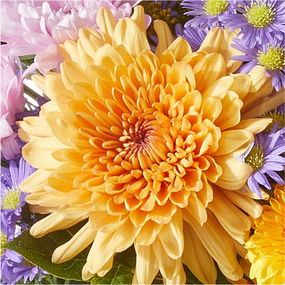 Countryside Bouquet –  Eventos Galindo, Chicago IL