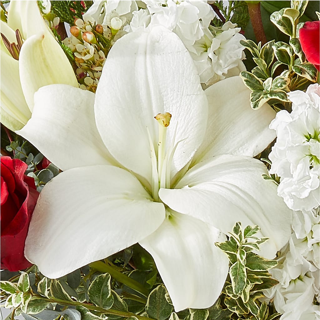 Twinkle Lights Bouquet –  Eventos Galindo, Chicago IL