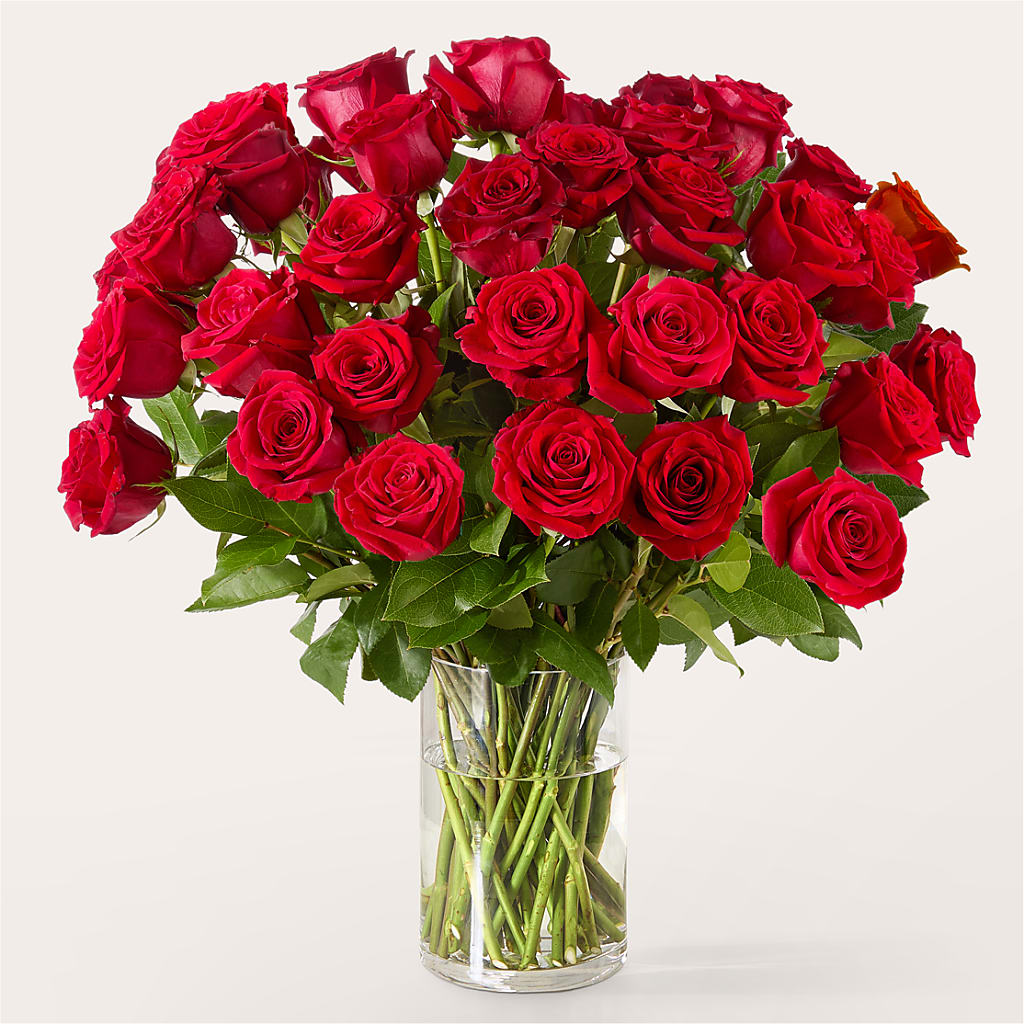 The One Red Rose Bouquet –  Eventos Galindo, Chicago IL