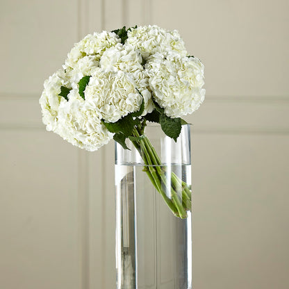 White Hydrangea Hand-Tied Bouquet –  Eventos Galindo, Chicago IL