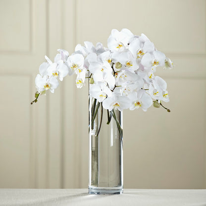 White Phalaenopsis Bouquet –  Eventos Galindo, Chicago IL
