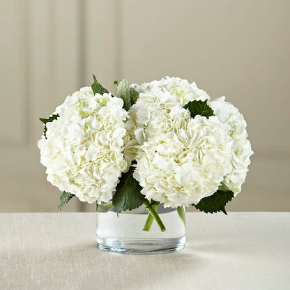 White Hydrangea Bouquet –  Eventos Galindo, Chicago IL